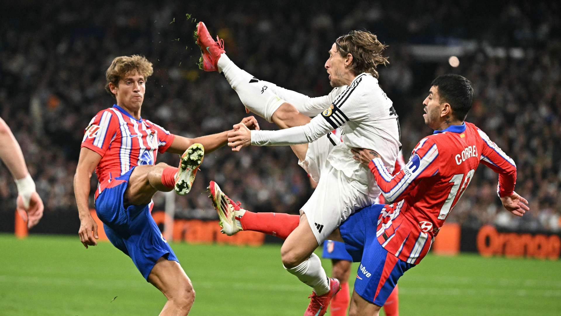 迷提供了便 迷提供了便